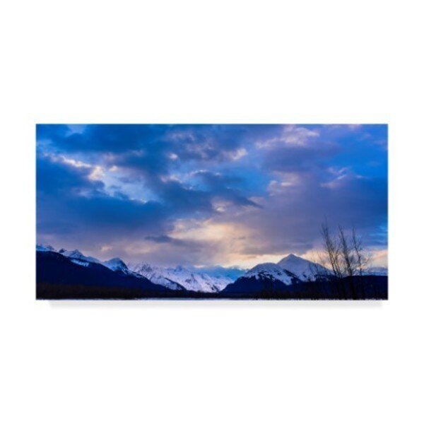 Brenda Petrella Photography Llc 'Cloudy Evening' Canvas Art, 24x47, Trademark Fine Art, Mfr#: ALI40234-C2447GG